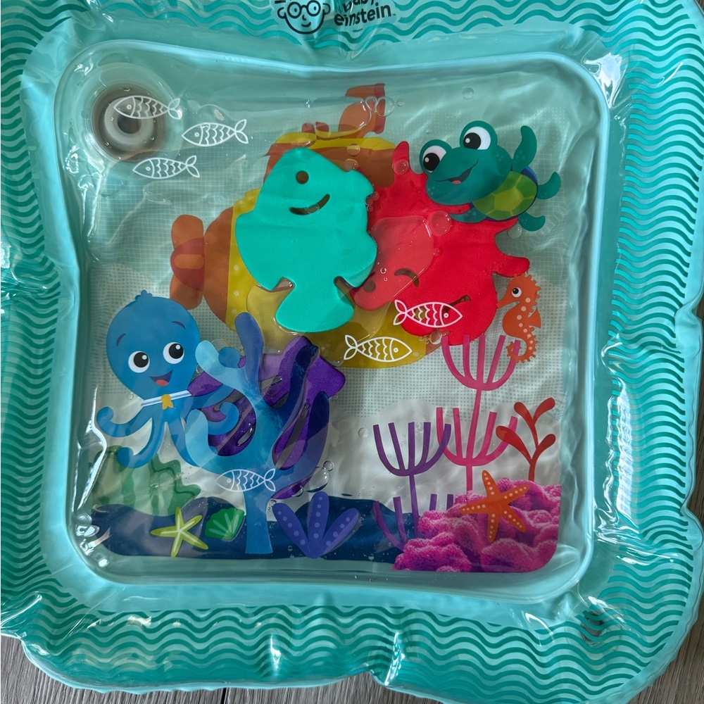 Blue and Green Learning Sea Creature Toys